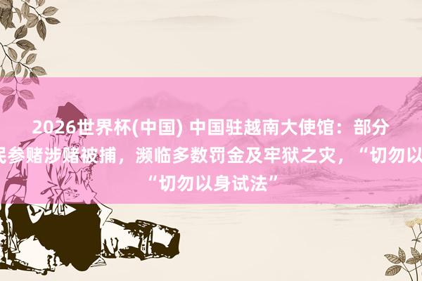 2026世界杯(中國) 中國駐越南大使館：部分在越公民參賭涉賭被捕，瀕臨多數(shù)罰金及牢獄之災(zāi)，“切勿以身試法”