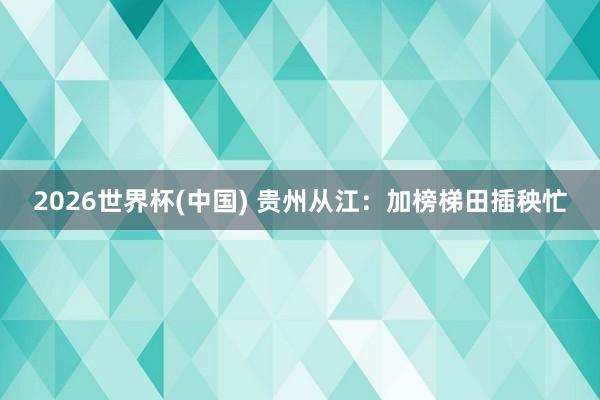 2026世界杯(中國) 貴州從江:加榜梯田插秧忙