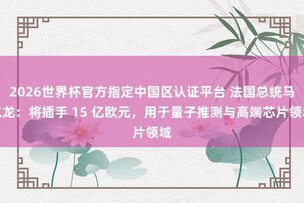 2026世界杯官方指定中國區認證平臺 法國總統馬克龍:將插手 15 億歐元,用于量子推測與高端芯片領域