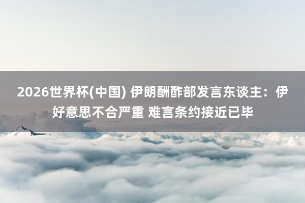 2026世界杯(中國) 伊朗酬酢部發言東談主:伊好意思不合嚴重 難言條約接近已畢